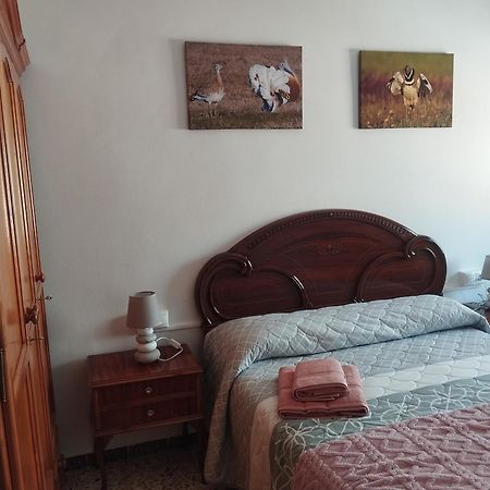 Apartamento Las Fuentes Sierra de Fuentes Esterno foto